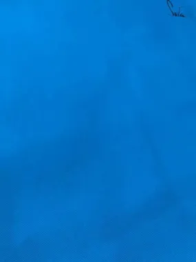Blue (UNDERSKIRT)