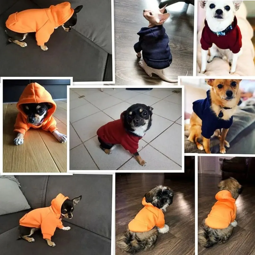Pethoodie™️ | Geef uw huisdier de warmste trui