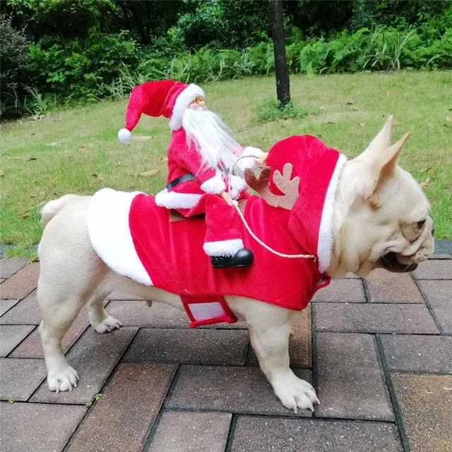 Santa's Sled Costume