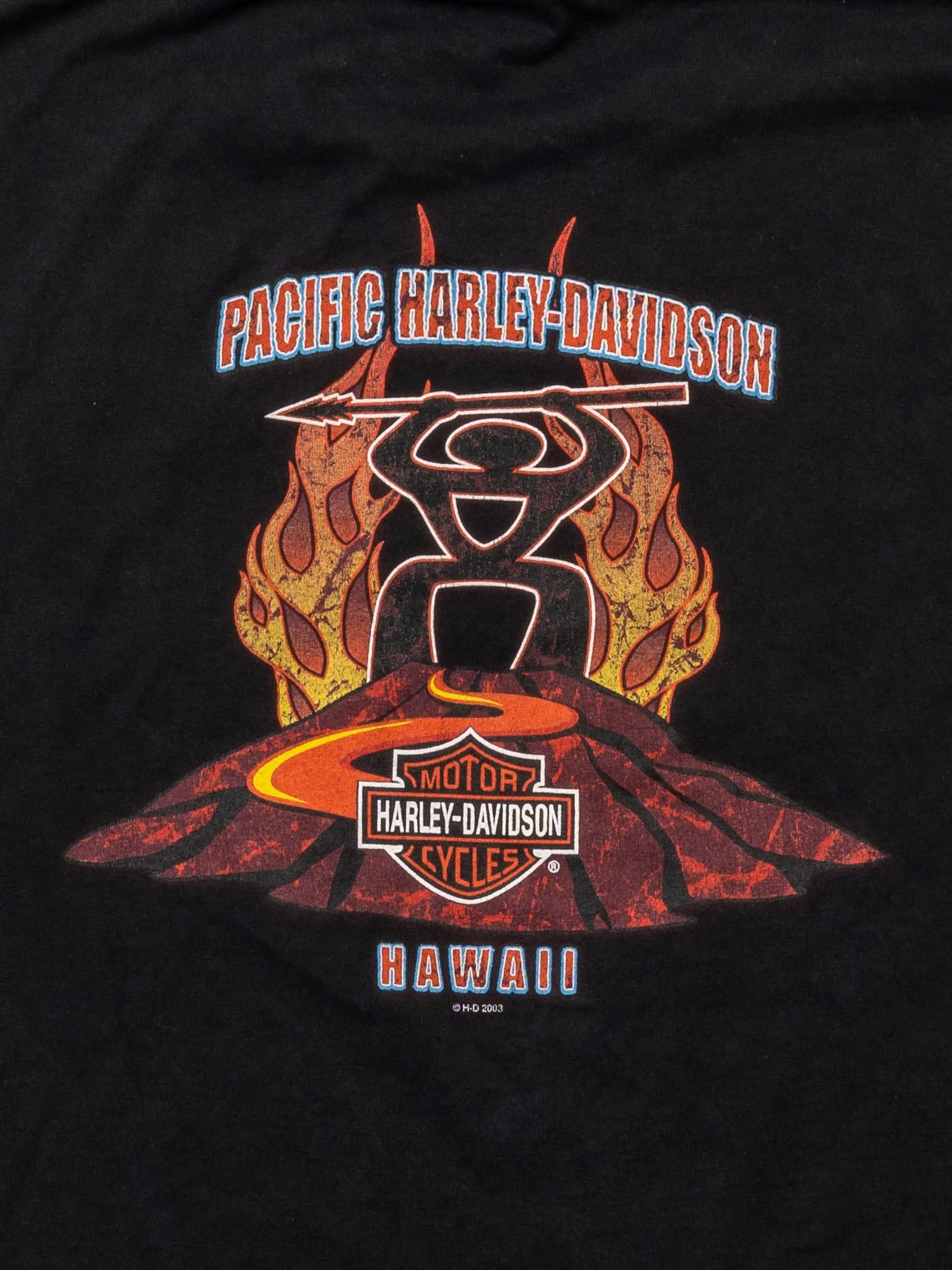 Vintage '03 Black Harley Davidson Hawaii Tee (M)